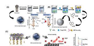 澳门大学成功构建癌症精准评估平台