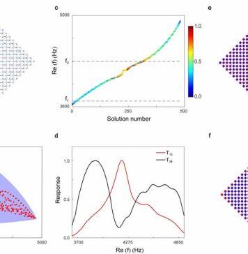 《自然·通讯》刊登刘正猷团队声波几何依赖趋肤效应研究成果