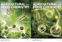 澳科大中药质量研究国家重点实验室在食药同源中药研究方面取得重要成果