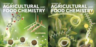 澳科大中药质量研究国家重点实验室在食药同源中药研究方面取得重要成果