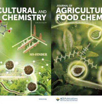 澳科大中药质量研究国家重点实验室在食药同源中药研究方面取得重要成果