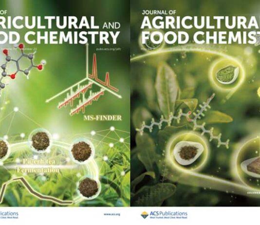 澳科大中药质量研究国家重点实验室在食药同源中药研究方面取得重要成果