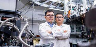 新加坡南洋理工大学科研 | 替代材料使计算机快速访问信息的新方法