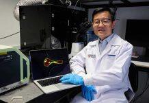 新加坡国立大学科研团队为研究癌症转移提供了全新视角