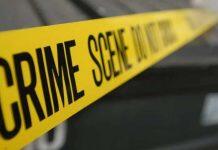 澳大利亚莫道克大学犯罪学专业讲师还原真实的罪案现场