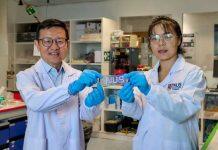 新国大科研团队开发出新型液态金属电路 用于可穿戴设备