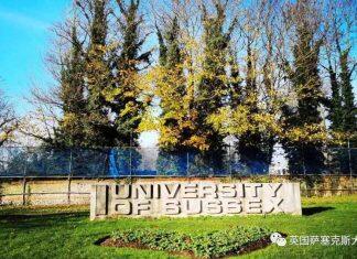 英国萨塞克斯大学2024年研究生申请开放啦
