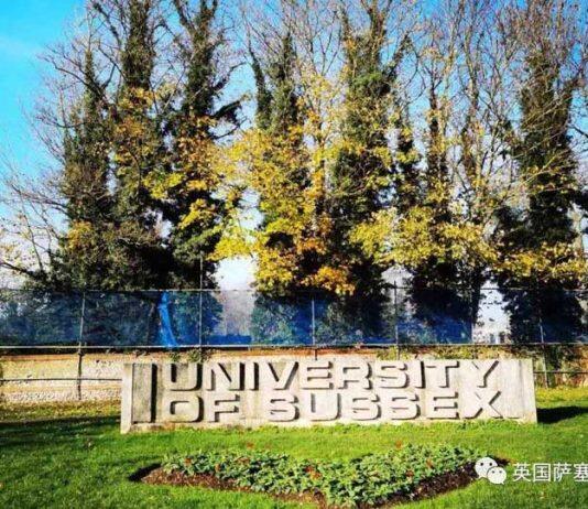 英国萨塞克斯大学2024年研究生申请开放啦