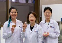 新国大科研团队发现 食用豆渣制成的饼干有助于改善肠道健康