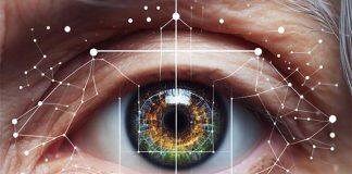 算法辅助老年眼疾早期检测