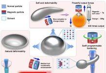 澳门大学成功研发新型磁控机器人