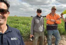 澳大利亚莫道克大学土壤科学家获政府拨款 研究改善土壤抗旱能力