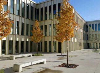 两年获得两所顶尖商学院的两个硕士学位