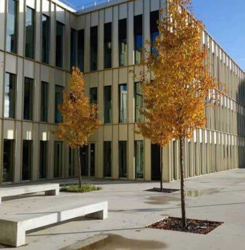 两年获得两所顶尖商学院的两个硕士学位