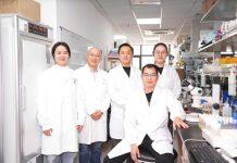 武汉大学宋威和叶旭军团队Nature发文揭示肿瘤与肾脏互作的新机制