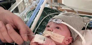 世界首例部分心脏移植术后一年证实成功