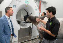 澳大利亚莫道克大学配备一流的马匹诊断仪器