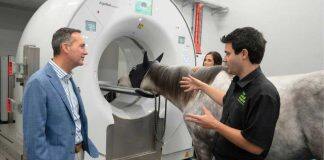 澳大利亚莫道克大学配备一流的马匹诊断仪器