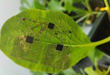 新加坡南洋理工大学科研 | 柔性电子器件再创新