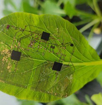 新加坡南洋理工大学科研 | 柔性电子器件再创新