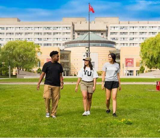 加拿大约克大学走上国际舞台 全球排名攀升