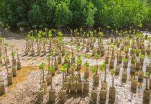 杜克 CRISP 资助团队启动环境解决方案的研究