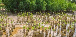 杜克 CRISP 资助团队启动环境解决方案的研究