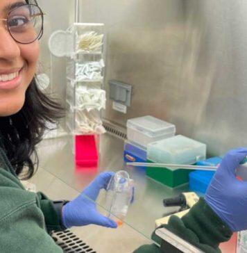 美国旧金山大学本科生研究癌症攻克之道