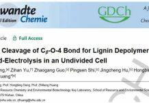 黄志良/邓红兵教授团队在生物质高值转化领域取得新成果