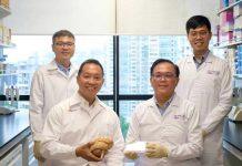 新加坡南洋理工大学新发现为脑癌患者带来福音