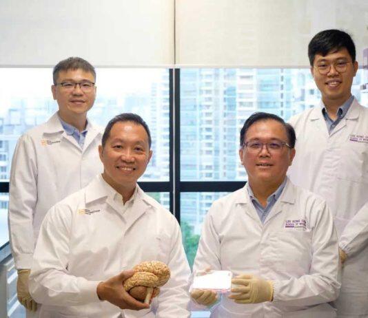 新加坡南洋理工大学新发现为脑癌患者带来福音