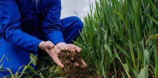 澳大利亚莫道克大学建设土壤科学网站分享农业科学与管理知识