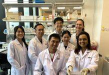 细菌及其毒素是如何激发人体免疫反应导致炎症的?