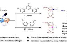 孔望清课题组在立体选择性和位点多样性合成碳糖苷领域取得新进展