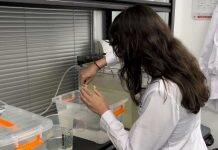 中外神经科学家携手人工智能探索大脑新药