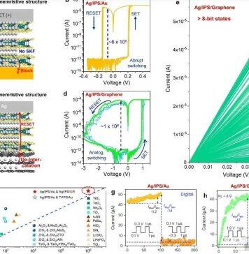 武汉大学何军课题组在神经形态计算硬件领域取得最新进展