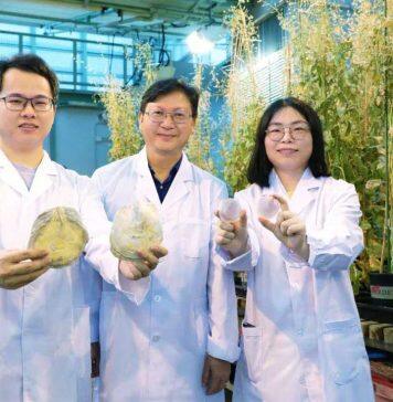 香港浸会大学生物学家解锁海洋新物种Asset Management Program