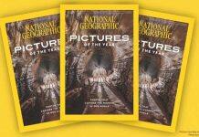 英国提赛德大学团队登上《国家地理》年度摄影封面