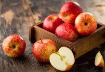 澳大利亚莫道克大学参与国家重点果蔬科研项目