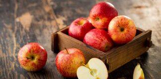 澳大利亚莫道克大学参与国家重点果蔬科研项目