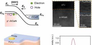 周圣军教授课题组在超薄极化隧道结深紫外LED芯片取得新进展