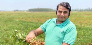 澳大利亚莫道克大学科学家改良花生作物