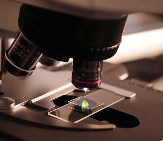 德比大学跻身“世界排名前2%科学家”名单