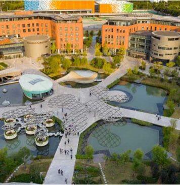 西浦7位学者入选2024“中国高被引学者”榜单