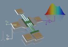 密西根学院教师邵磊课题组在《物理评论快报》发表研究成果