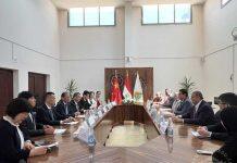 武汉大学在开罗启动建设“武汉-本哈研究生院”