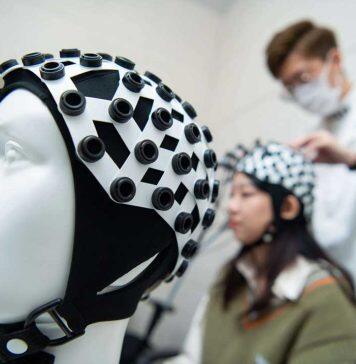 澳大新增脑与认知科学博士学位课程现正接受报名