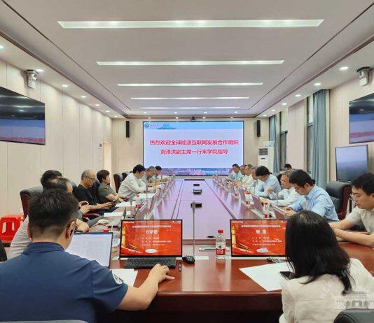 全球能源互联网发展合作组织访问武汉大学