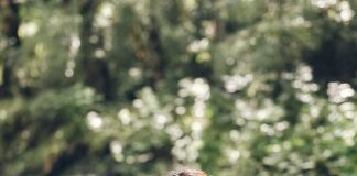 荣膺2025年国家地理学会探路者奖