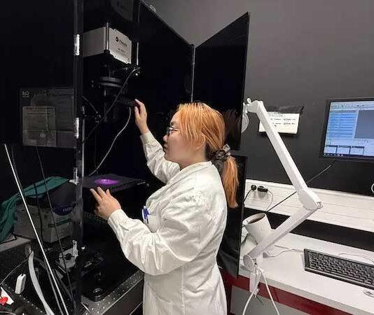 中国博士生为第一作者:威尼斯大学与马德里自治大学联合团队发表全新生物体温度三维测绘法研究成果
